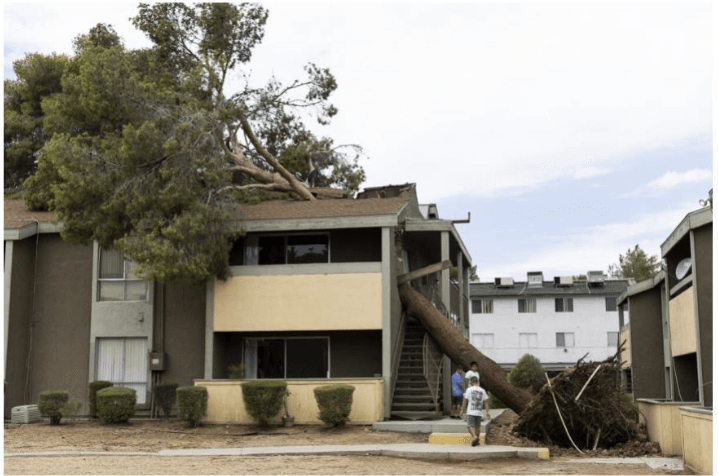 image of a tree falling on a house
